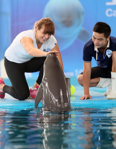 造新坎特 造新坎特